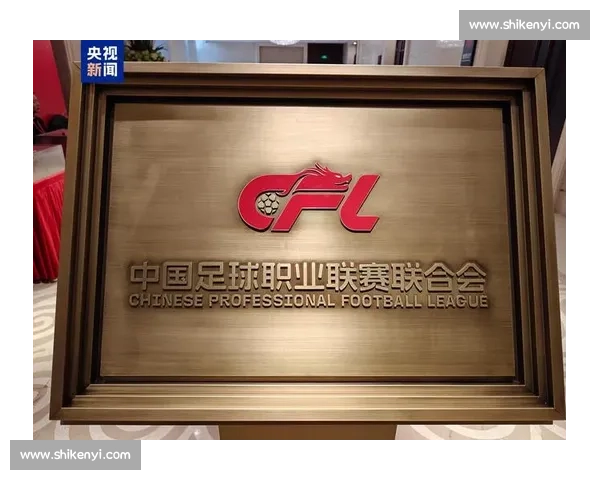 中国体育职业联赛发展现状与未来趋势深度解析