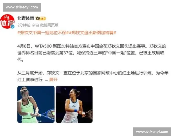 网球明星因伤缺赛赛季进展受影响引发关注 网球明星因伤缺赛赛季进展受影响引发关注